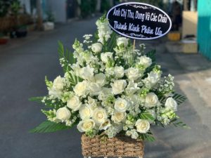 Shop Hoa Thị Trấn Quỳnh Côi, Quỳnh Phụ, Thái Bình