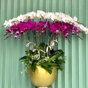 Shop Hoa Tươi Thái Thụy, Thái Bình