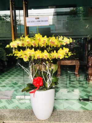 Shop Hoa Tươi Thị trấn Diêm Điền, Thái Thuỵ, Thái Bình